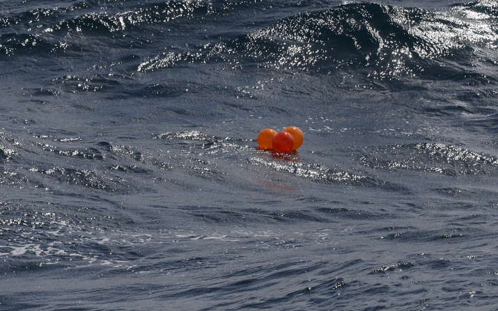 Balloons no party for our marine life 1