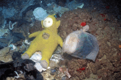 The Synthetic Ocean 3