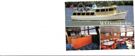Snapshots of the Tamar 1