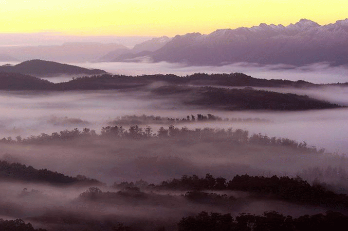 Rewilding the Earth ... An Ethical Conviction 3