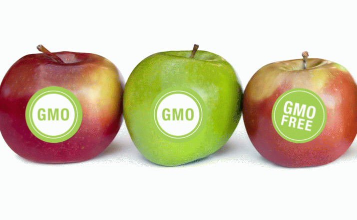 GMO: We supported a continuation of the existing moratorium; Merc, TC columns ... 3