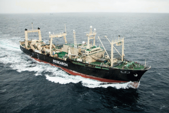 Operation Icefish: Sea Shepherd launches new Southern Ocean campaign 3