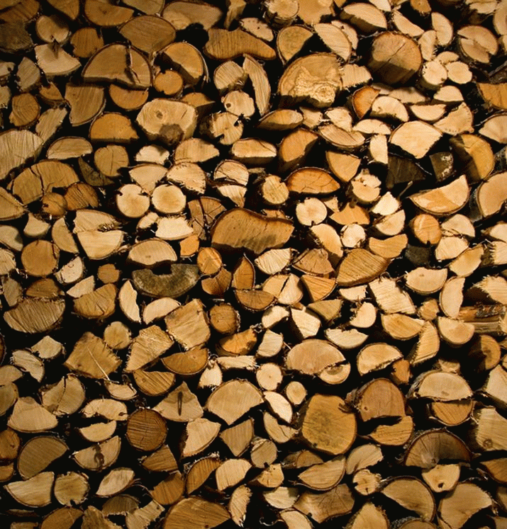 Could wood be bad for the environment? That depends on policy 3