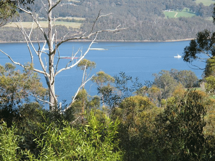 Saturday Soapbox: Council must ensure Huon plan meets its Waterloo 3