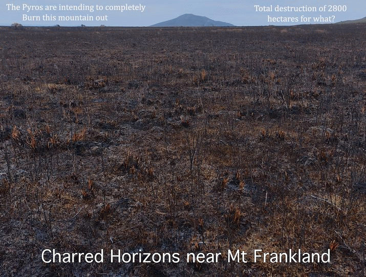 STATE: Torching the Tarkine - More Liberal Lunacy. The terrified bushwalker ... 3