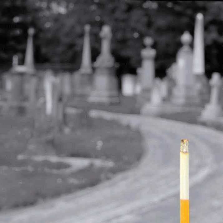 Tobacco industry duplicity, legal arguments, the Legislative Council ... 3