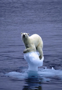 Welcome to the climate of the middle Miocene 3