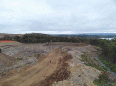TCT seeks Supreme Court determination that the Tamar Valley Pulp Mill permit has lapsed 3