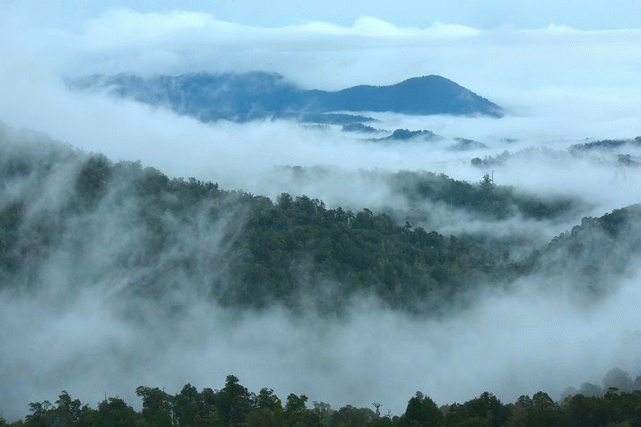 Fire in the Tarkine – A Dynamic Ecology 3