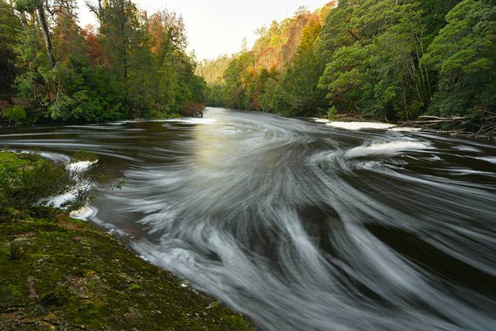 Tarkine Rivers Run Wild and Free 3