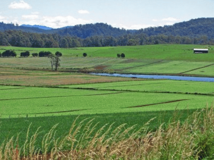Feeding Australians with Australian Food at a Fair Price ... but most of all ... 4 Feeding Australians with Australian Food at a Fair Price ... but most of all ... 4