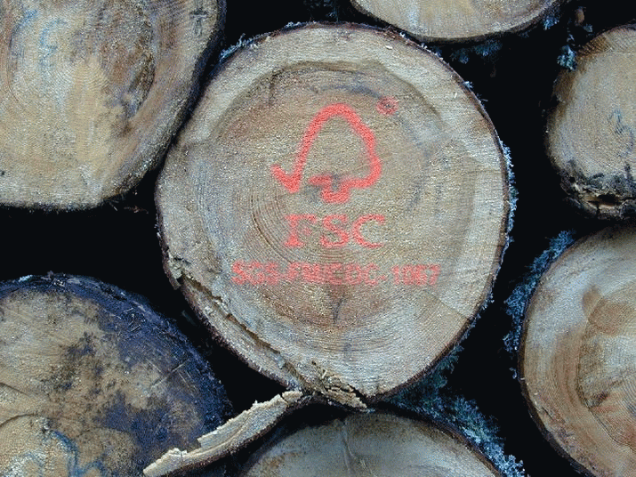 Is eco-certification the solution to forest destruction? 3