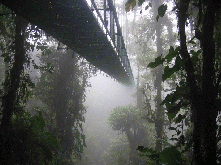 Costa Rica Introduces Law to Mandate Valuation of Natural Capital 3