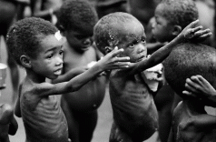Millions Will Starve as Rich Nations Cut Food Aid Funding, Warns UN 3