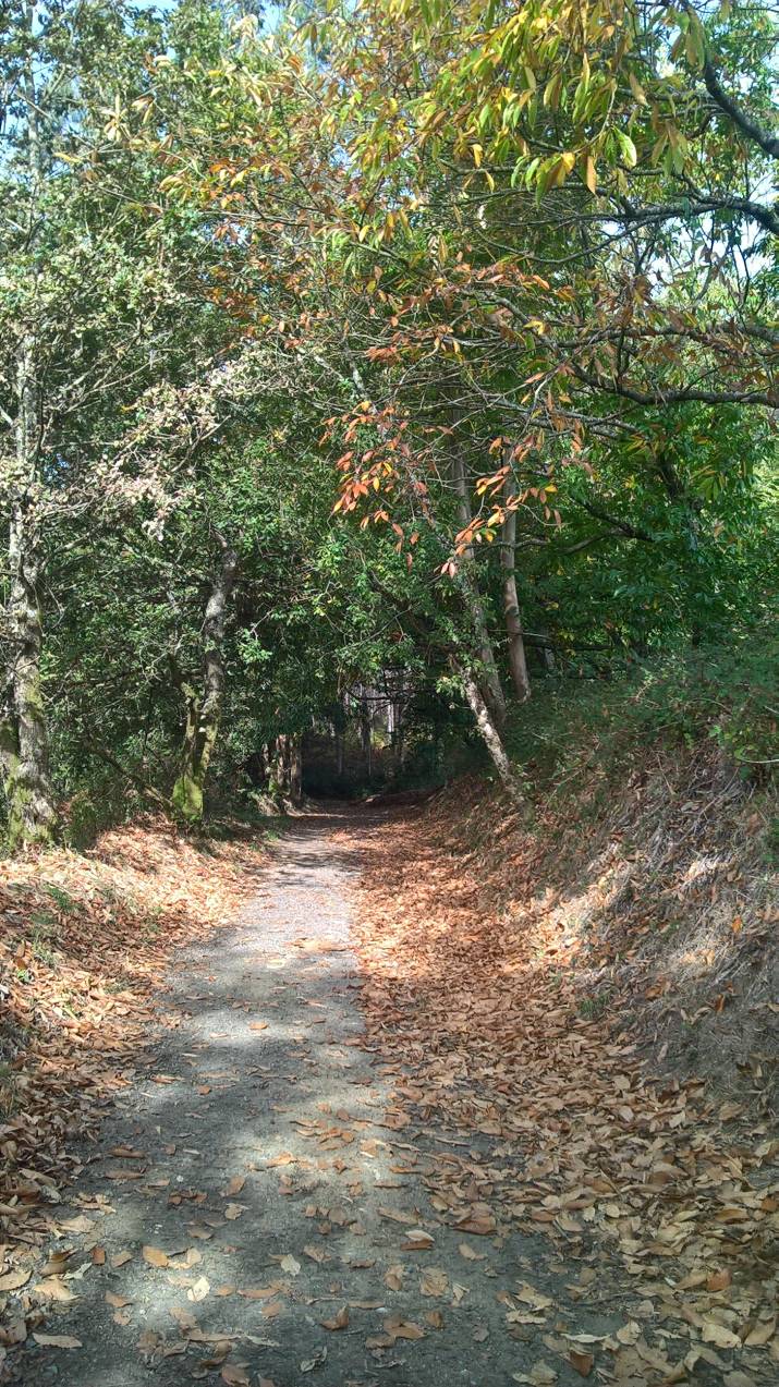 Happiness is not necessarily cheap: Day 19 of Fear and Loathing on the Camino trail ... 26 Happiness is not necessarily cheap: Day 19 of Fear and Loathing on the Camino trail ... 4