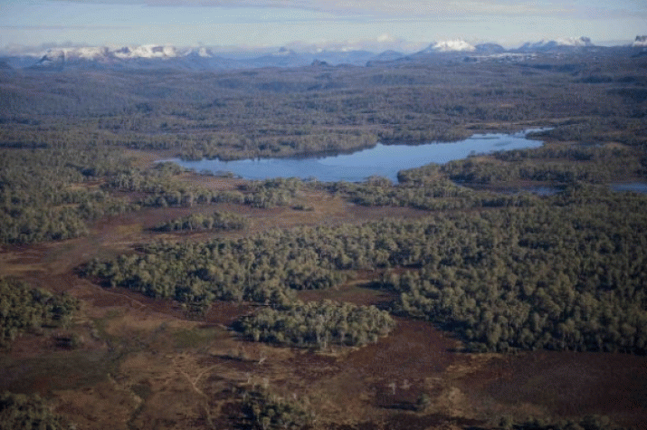 From little things ... Tassie four's $50 philanthropic vision 3