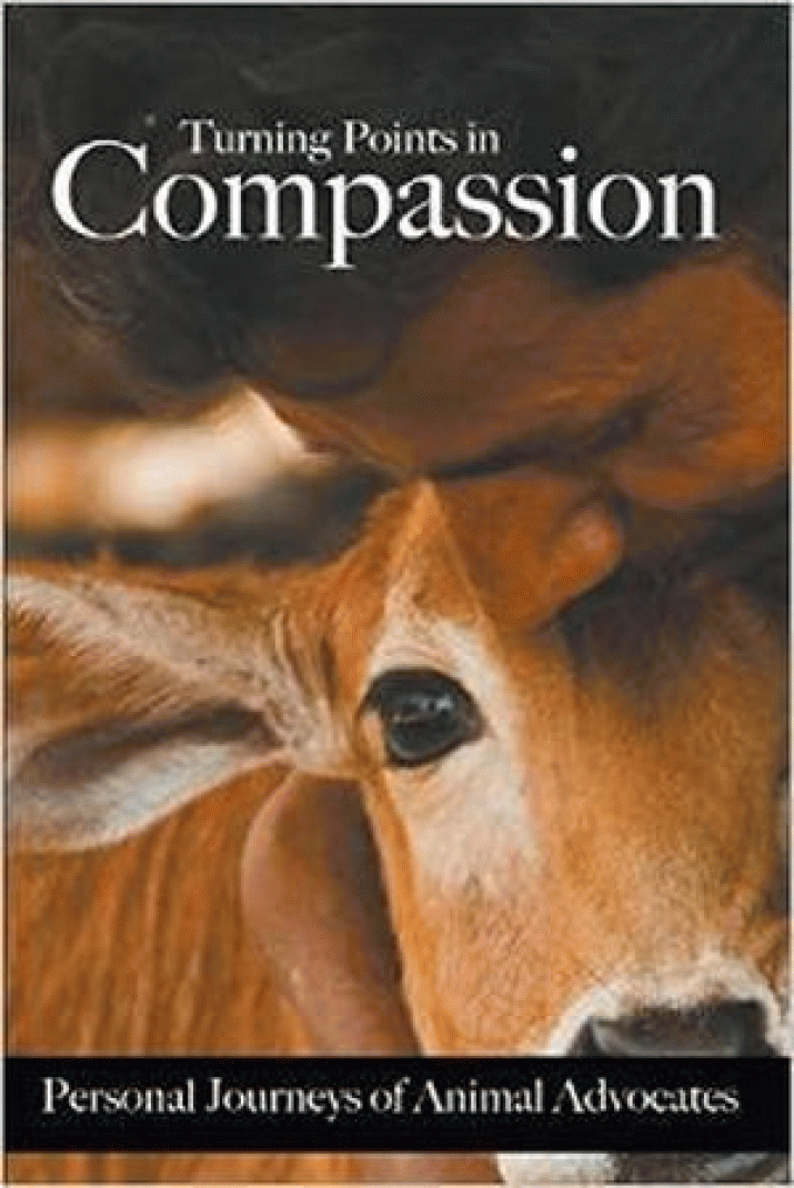 Help promote ... Turning Points to Compassion 3