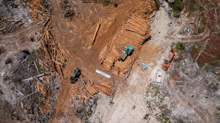 'Tarkine Logging Blitz uncovered by conservationists' 3
