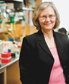 Tasmania's Nobel woman 5
