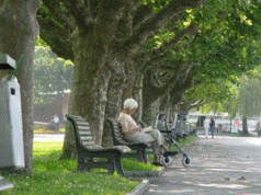 Street trees, the magic infrastructure investment 3