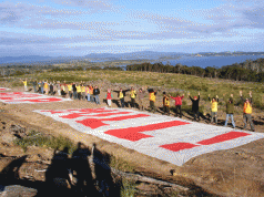 Greens push for PMAA repeal. SEARCH ponders direct action. Giant banner unfurled. 3