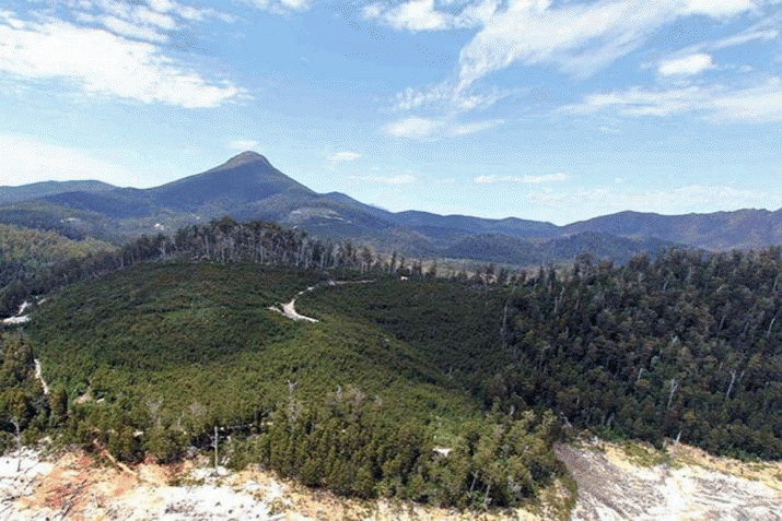 Federal Government to abandon plans to log World Heritage Area if UNESCO will not ratify it 3