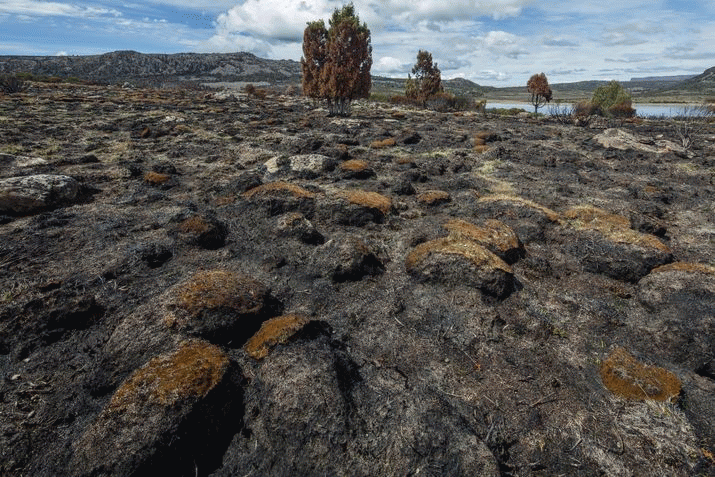 Firefighting review confirms TWWHA values protection bungle 3