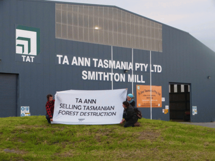 Australian taxpayers pay millions to controversial Sarawak timber cartel 3