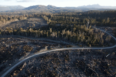 Forests Heads of Agreement can be improved, but ... 3