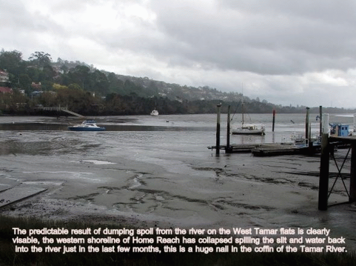 Coalition must deliver on Tamar health 3