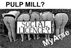 WAM!: What we think of the pulp mill 1