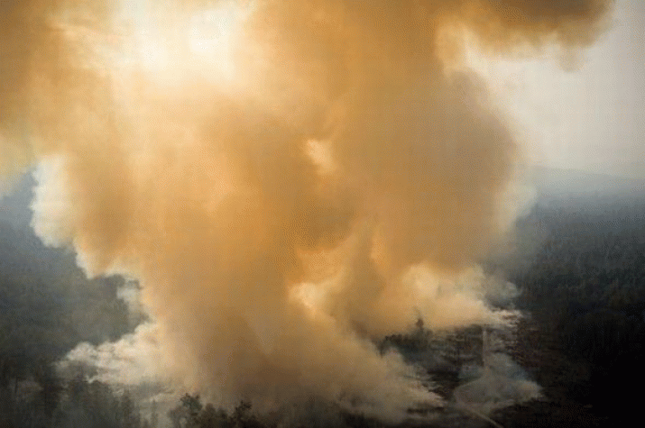 Fail on key environmental criteria for Forestry Tasmania’s FSC bid 3