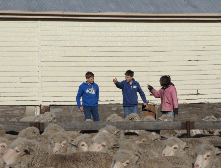 Livestock school highlights positive attitude of next generation 4 Livestock school highlights positive attitude of next generation 4