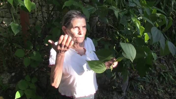 Guatemalan Medicine Women - Medicinal Plants Part 1 4 Guatemalan Medicine Women - Medicinal Plants Part 1 4