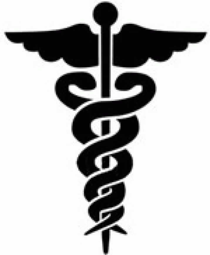 Is the taxpayer entitled to any level of basic health protection ... ? 3