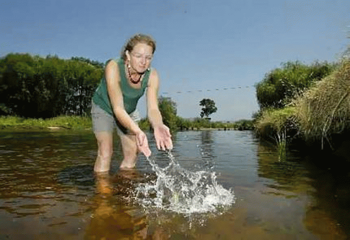 Pesticide monitoring in Tasmanian waterways cancelled 3