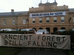 As Forestry stains the Autumn skies with smoke, as Parliament resumes, so does the resistance ... 3