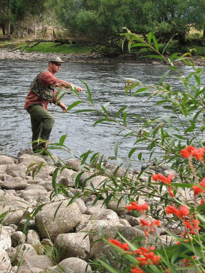 Humans and the environment: New Zealand's lessons for Tasmania ... 3