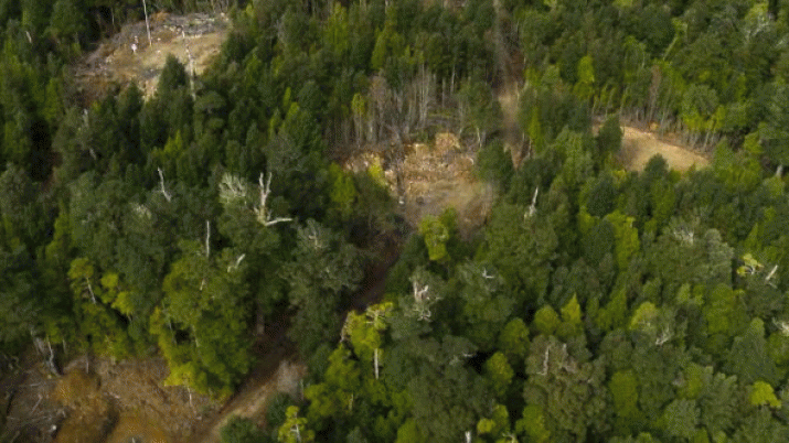 Save the Tarkine seeks a Statement of Reasons for decision to approve Mt Lindsay Mine Lease 3