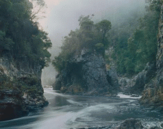 Images of pure beauty ripped the cataracts from our eyes 4 Images of pure beauty ripped the cataracts from our eyes 4
