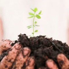 Strong Sales of Organic Foods Attract Investors 4 Strong Sales of Organic Foods Attract Investors 4