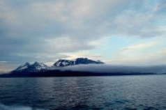 Arctic Ice in Death Spiral 4 Arctic Ice in Death Spiral 4