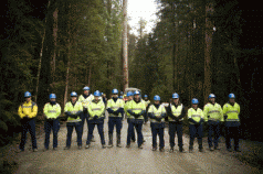 Forestry payout fraud probe. More protests 12 Forestry payout fraud probe. More protests 4