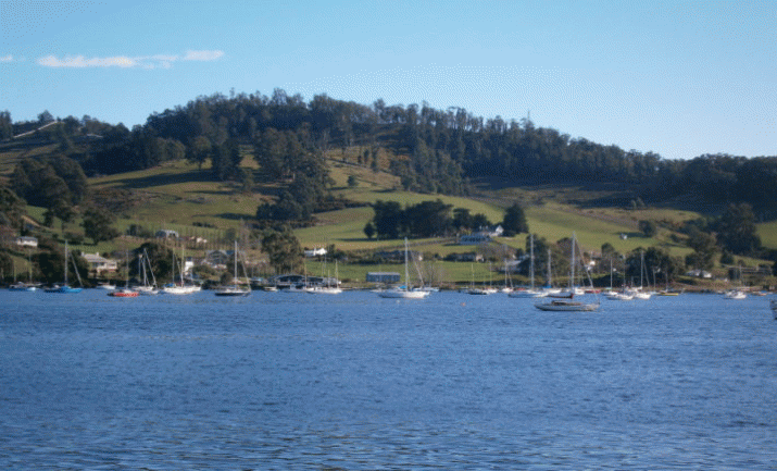 What is going on at Greens Point, Cygnet? 4 What is going on at Greens Point, Cygnet? 4