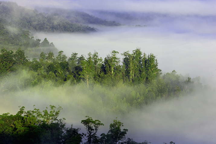 'Hodgman Liberals Biggest Threat to Tasmania on World Environment Day' 3