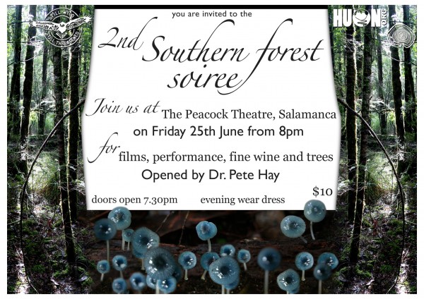 Pete Hay opens 2nd Southern Forest Soiree 1