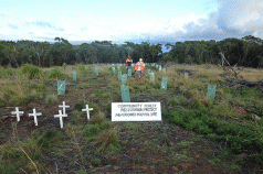 Community forest restoration project on abandoned pulp mill site. Greens, ET, TWS, ACF latest ... 3