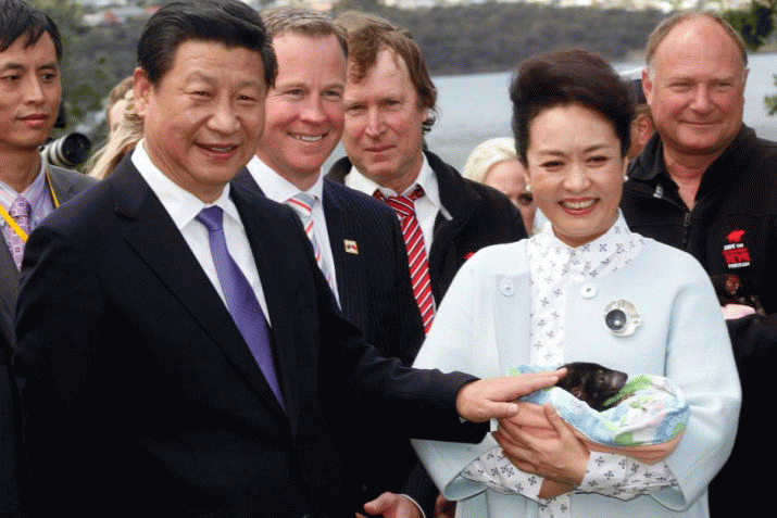 Forestry Poisons implicated in devil disease ... as President Xi strokes baby devil ... 3