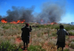 Indigenous burn control a myth: study 3