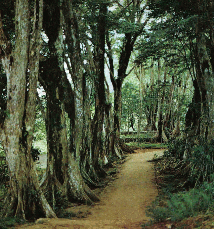 It's time for a footpath from Hobart to Launceston ... 3